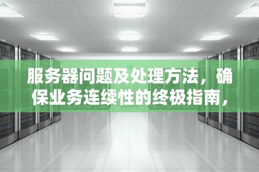 服务器问题及处理方法，确保业务连续性的终极指南，服务器问题及处理方法有哪些