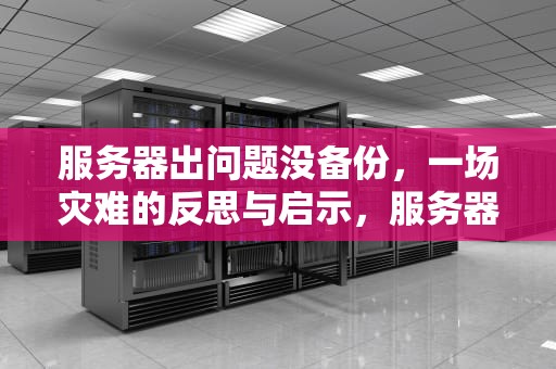 服务器出问题没备份，一场灾难的反思与启示，服务器出问题没备份怎么办