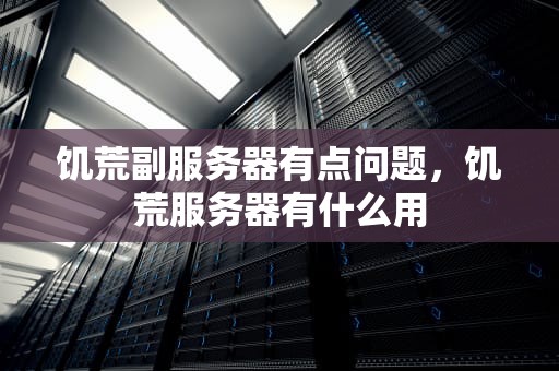 饥荒副服务器有点问题，饥荒服务器有什么用