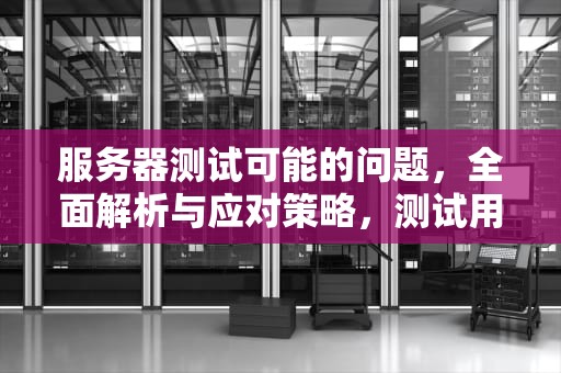 服务器测试可能的问题，全面解析与应对策略，测试用服务器