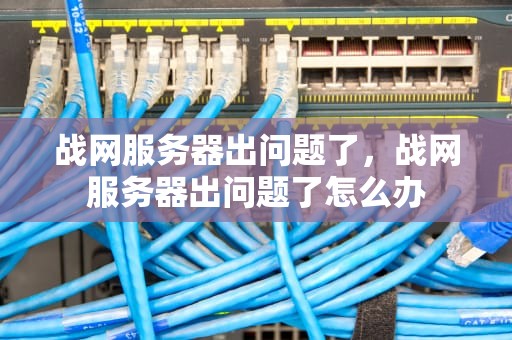 战网服务器出问题了，战网服务器出问题了怎么办
