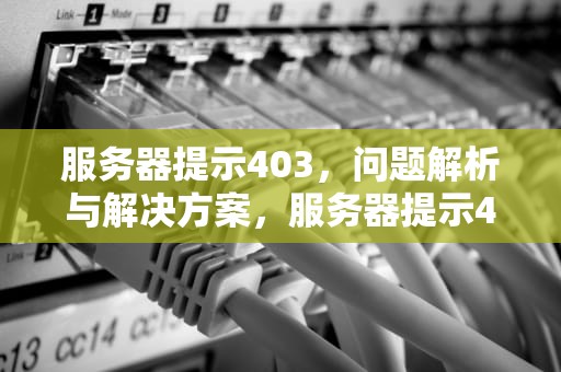 服务器提示403，问题解析与解决方案，服务器提示403啥问题啊