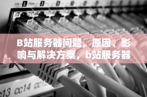 B站服务器问题，原因、影响与解决方案，b站服务器有问题怎么解决