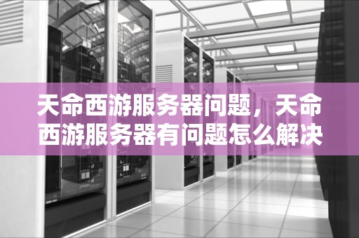 天命西游服务器问题，天命西游服务器有问题怎么解决