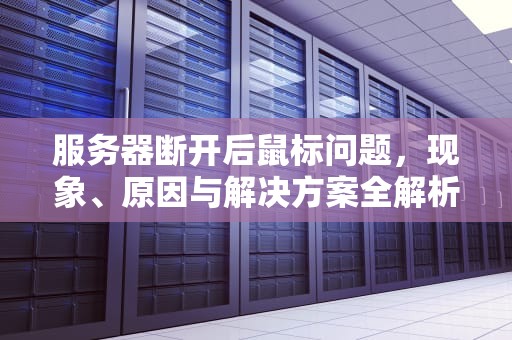 服务器断开后鼠标问题，现象、原因与解决方案全解析，服务器断开后鼠标问题怎么解决