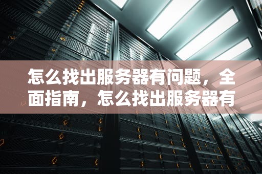 怎么找出服务器有问题，全面指南，怎么找出服务器有问题的文件
