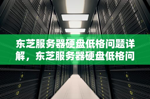东芝服务器硬盘低格问题详解，东芝服务器硬盘低格问题怎么解决