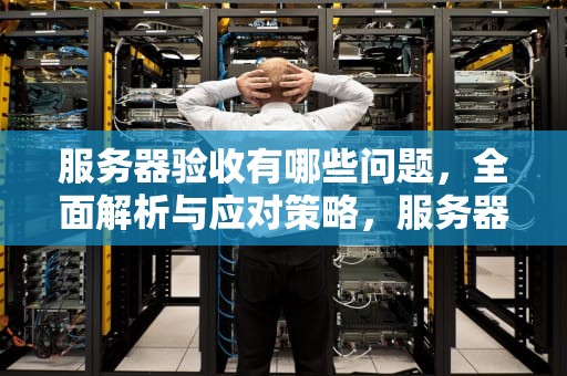 服务器验收有哪些问题，全面解析与应对策略，服务器验收有哪些问题呢
