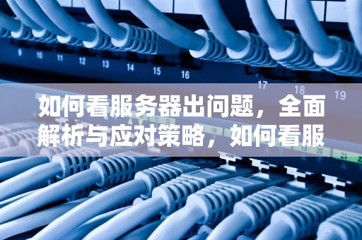 如何看服务器出问题，全面解析与应对策略，如何看服务器出问题了