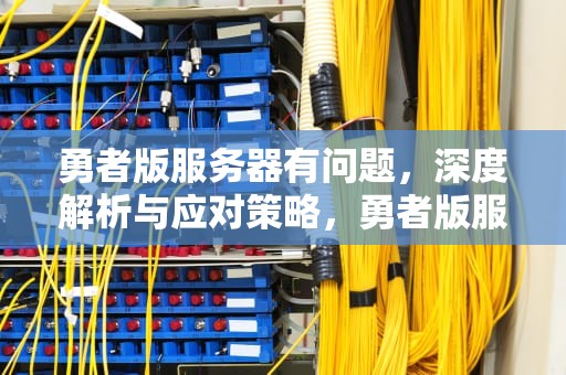 勇者版服务器有问题，深度解析与应对策略，勇者版服务器有问题怎么解决