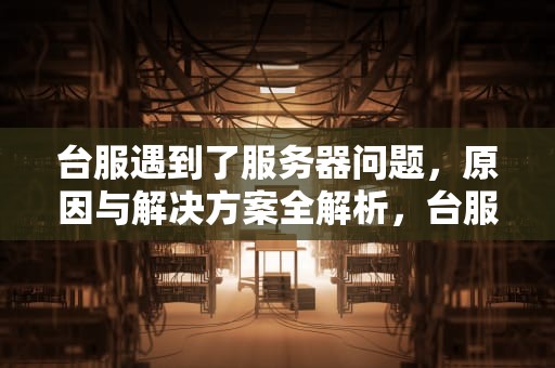 台服遇到了服务器问题，原因与解决方案全解析，台服遇到了服务器问题怎么办