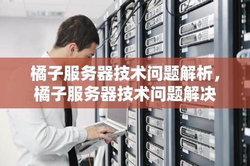 橘子服务器技术问题解析，橘子服务器技术问题解决