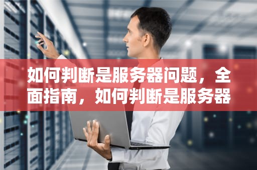 如何判断是服务器问题，全面指南，如何判断是服务器问题还是硬盘