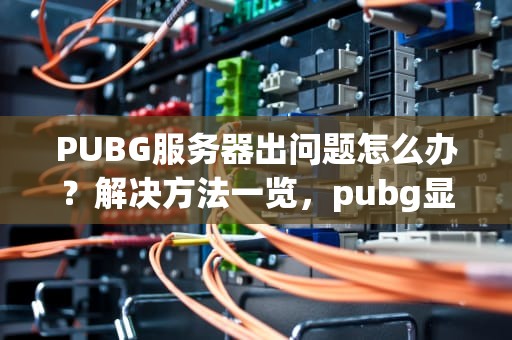 PUBG服务器出问题怎么办？解决方法一览，pubg显示be服务器没有正常执行