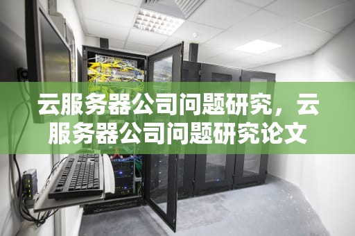 云服务器公司问题研究，云服务器公司问题研究论文