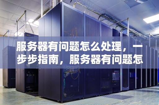 服务器有问题怎么处理，一步步指南，服务器有问题怎么处理好