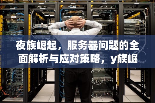 夜族崛起，服务器问题的全面解析与应对策略，y族崛起
