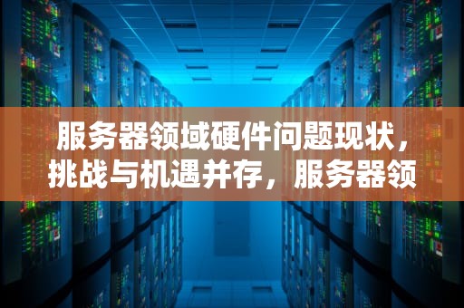 服务器领域硬件问题现状，挑战与机遇并存，服务器领域硬件问题现状分析