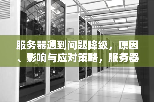 服务器遇到问题降级，原因、影响与应对策略，服务器遇到问题降级怎么办