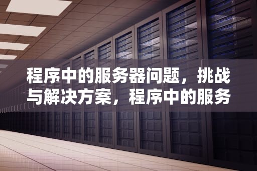 程序中的服务器问题，挑战与解决方案，程序中的服务器问题有哪些