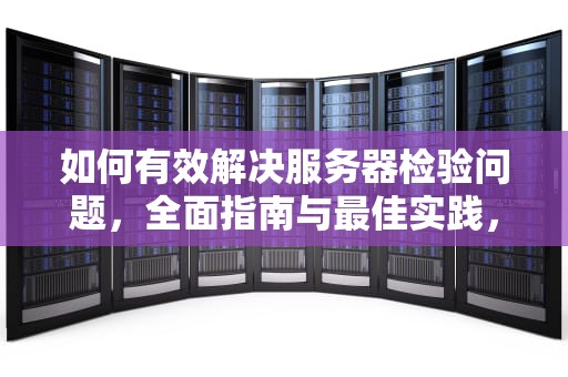 如何有效解决服务器检验问题，全面指南与最佳实践，怎么解决服务器检验问题的问题
