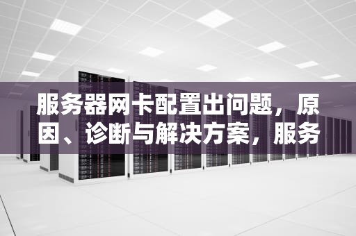 服务器网卡配置出问题，原因、诊断与解决方案，服务器网卡配置出问题怎么解决