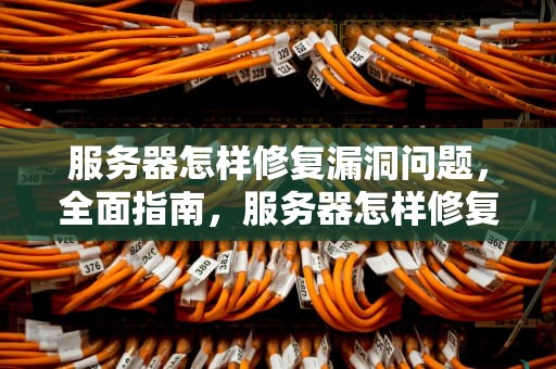 服务器怎样修复漏洞问题，全面指南，服务器怎样修复漏洞问题视频