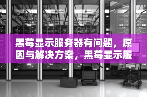 黑莓显示服务器有问题，原因与解决方案，黑莓显示服务器有问题怎么办