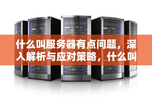 什么叫服务器有点问题，深入解析与应对策略，什么叫服务器有点问题呢
