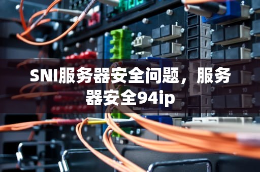 SNI服务器安全问题，服务器安全94ip