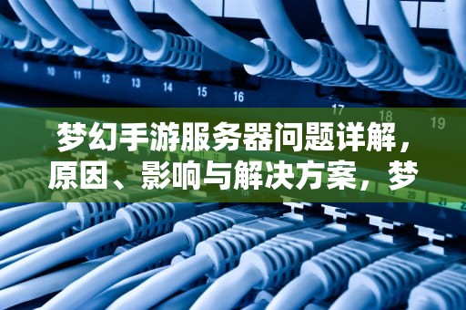 梦幻手游服务器问题详解，原因、影响与解决方案，梦幻手游服务器问题怎么解决