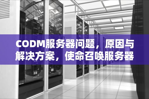 CODM服务器问题，原因与解决方案，使命召唤服务器错误