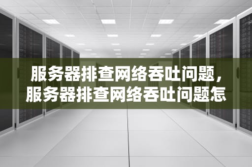 服务器排查网络吞吐问题，服务器排查网络吞吐问题怎么写