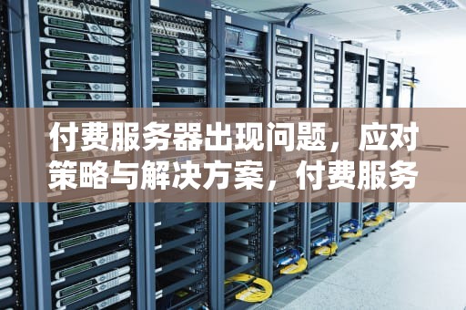 付费服务器出现问题，应对策略与解决方案，付费服务器出现问题怎么解决