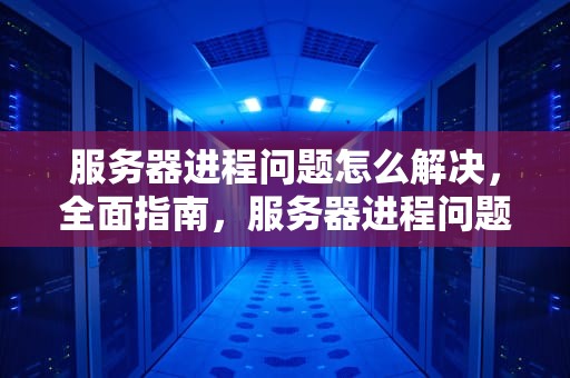 服务器进程问题怎么解决，全面指南，服务器进程问题怎么解决的