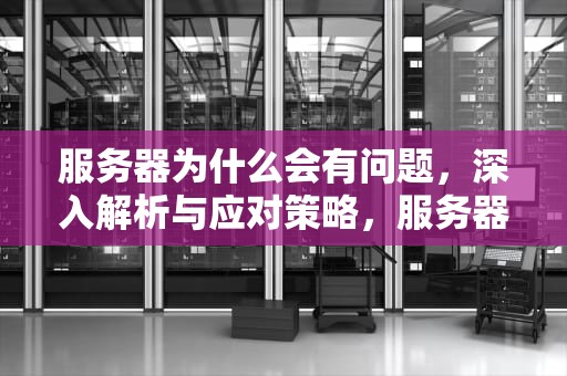 服务器为什么会有问题，深入解析与应对策略，服务器为什么会有问题呢