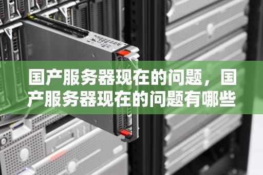 国产服务器现在的问题，国产服务器现在的问题有哪些