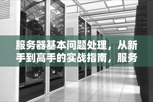 服务器基本问题处理，从新手到高手的实战指南，服务器常见的问题