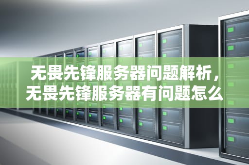 无畏先锋服务器问题解析，无畏先锋服务器有问题怎么解决