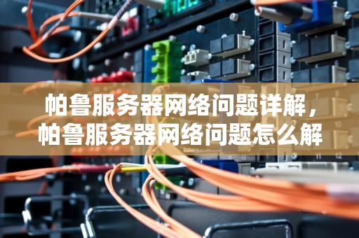 帕鲁服务器网络问题详解，帕鲁服务器网络问题怎么解决