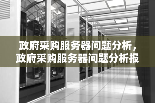 政府采购服务器问题分析，政府采购服务器问题分析报告