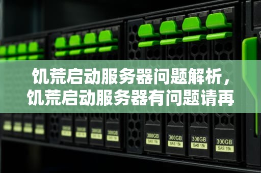 饥荒启动服务器问题解析，饥荒启动服务器有问题请再次尝试