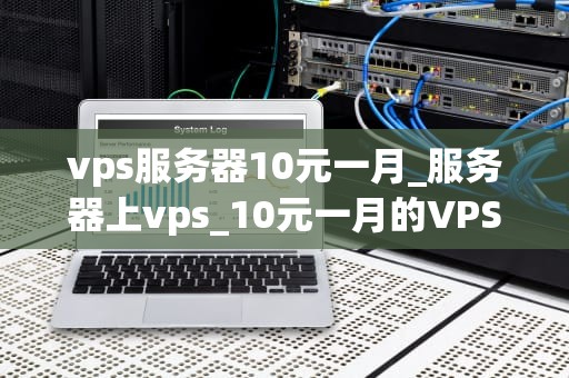 vps服务器10元一月_服务器上vps_10元一月的VPS服务器：颠覆性的价格与可能性