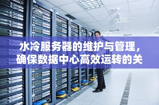 水冷服务器的维护与管理，确保数据中心高效运转的关键，采访水冷服务器的问题有哪些
