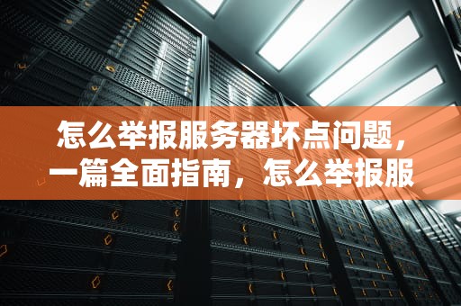 怎么举报服务器坏点问题，一篇全面指南，怎么举报服务器坏点问题最有效