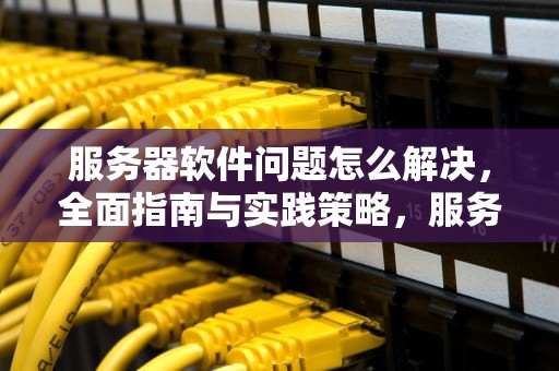 服务器软件问题怎么解决，全面指南与实践策略，服务器软件问题怎么解决的