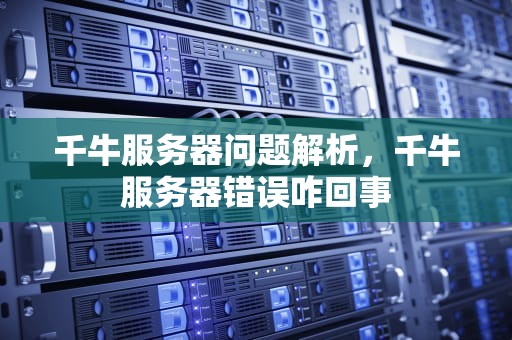 千牛服务器问题解析，千牛服务器错误咋回事
