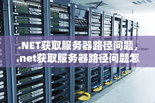 .NET获取服务器路径问题，.net获取服务器路径问题怎么解决