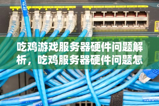 吃鸡游戏服务器硬件问题解析，吃鸡服务器硬件问题怎么解决