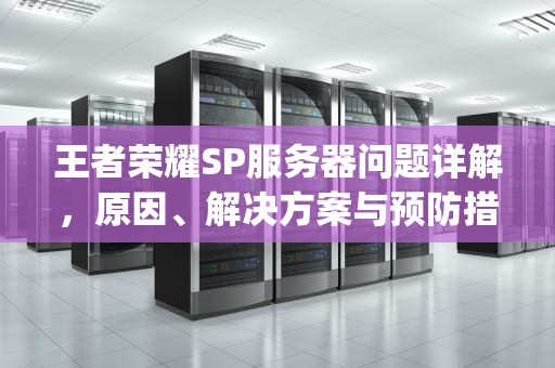 王者荣耀SP服务器问题详解，原因、解决方案与预防措施，王者荣耀sp服务器问题怎么解决